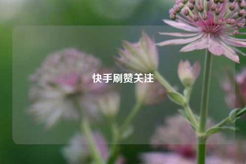 快手刷赞关注
