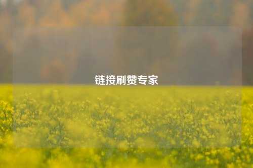 链接刷赞专家