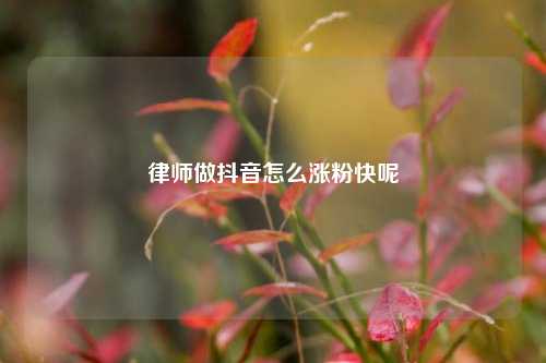 律师做抖音怎么涨粉快呢