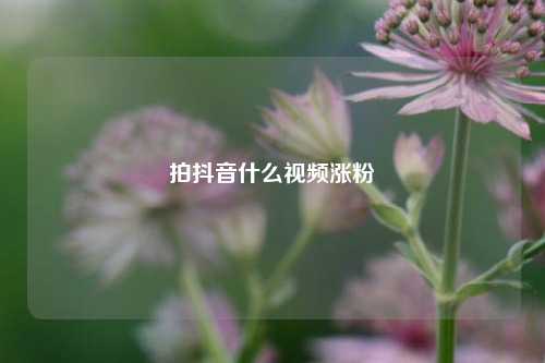 拍抖音什么视频涨粉