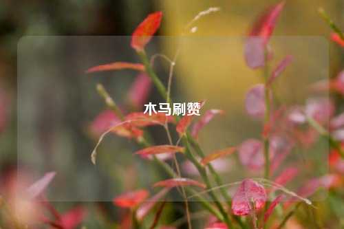 木马刷赞