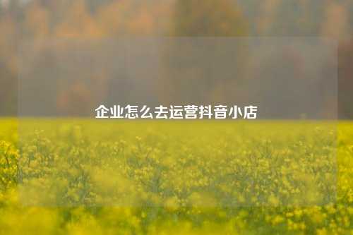 企业怎么去运营抖音小店