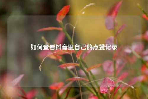 如何查看抖音里自己的点赞记录