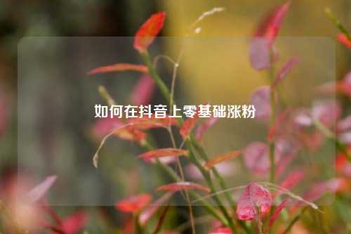 如何在抖音上零基础涨粉