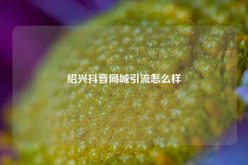 绍兴抖音同城引流怎么样
