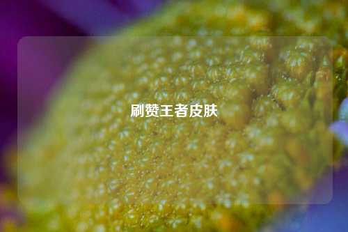 刷赞王者皮肤