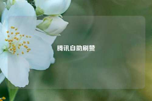 腾讯自助刷赞