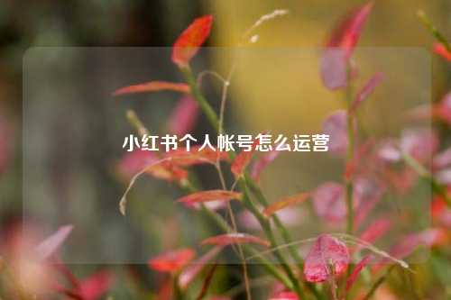 小红书个人帐号怎么运营