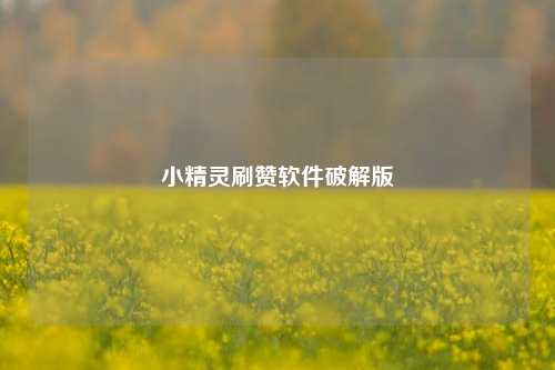 小精灵刷赞软件破解版
